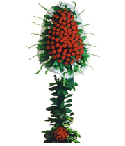 Kırmızı ayaklı sepet